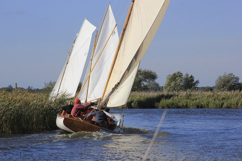 Sue Autumn Regatta 3