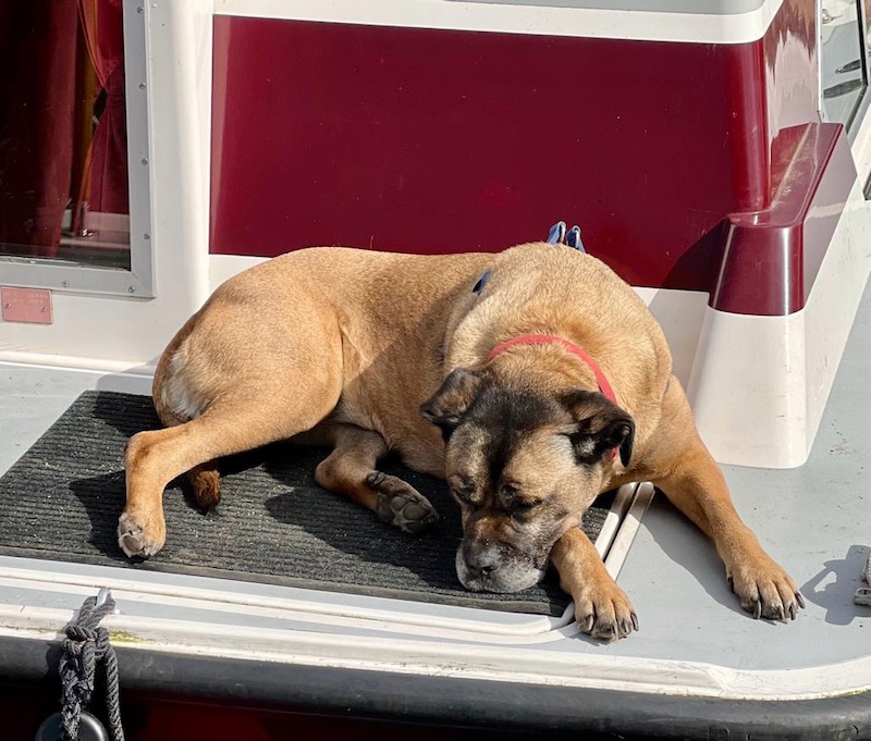 Spring Cruise 2023 25