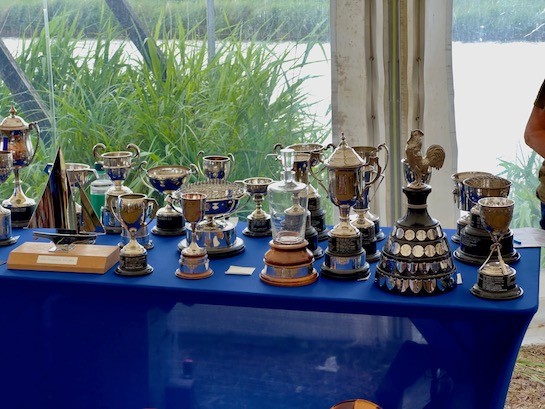 David C trophies