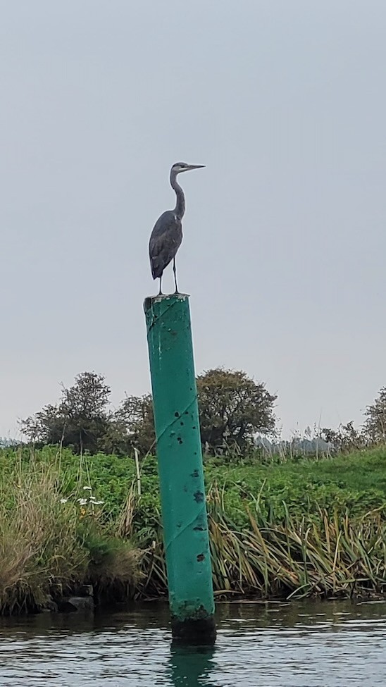 Autumn Regatta 2025 13