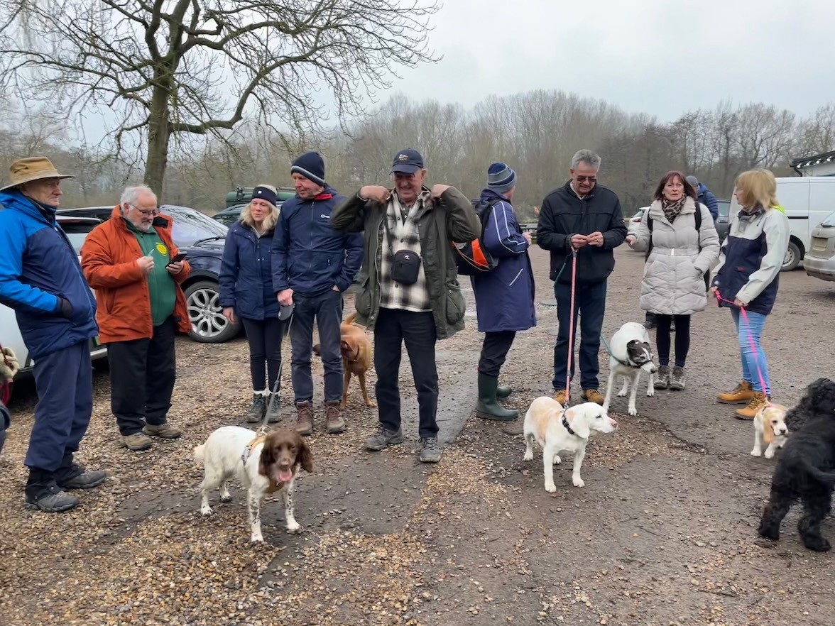 winter walk 2