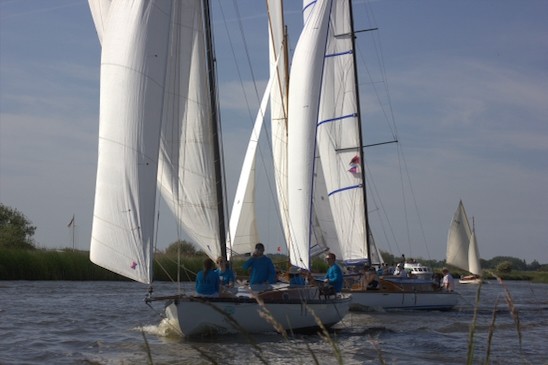 TMOR 2026 Sue H 18