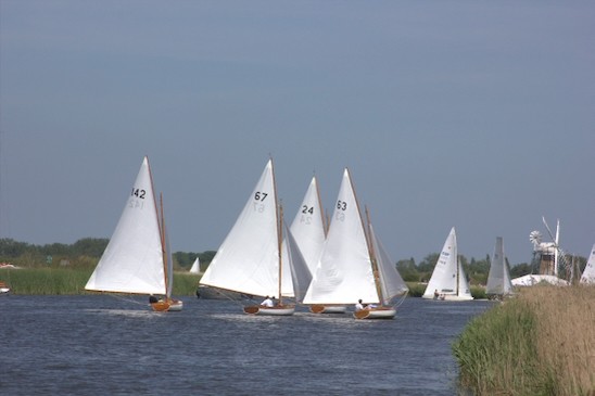 TMOR 2026 Sue H 19