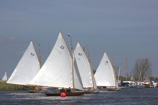 TMOR 2026 Sue H 20
