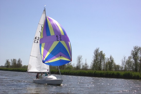 TMOR 2026 Sue H 29