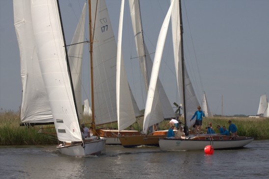 TMOR 2026 Sue H 6