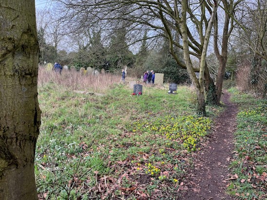 Winter Walk 26 landscape small 3