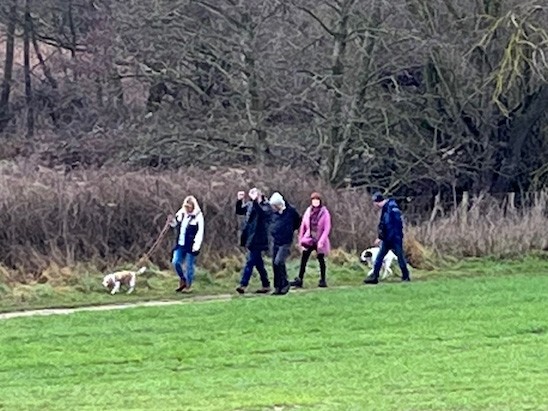 Winter Walk 26 landscape small 7